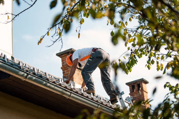 Quick and Trustworthy Emergency Roof Repair Services in Jackson, LA